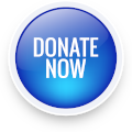 Donate Now Button